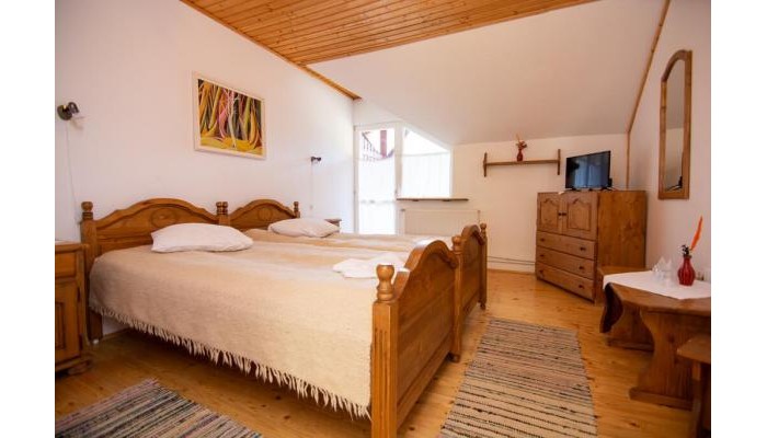 Hotel Silver Villa poza 7