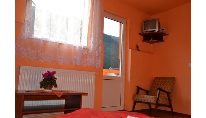 Pensiunea Lala poza 7