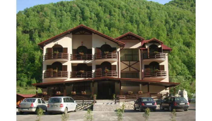 Hotel Pension Carpathia poza 0