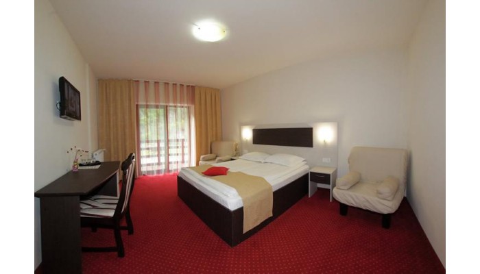 Hotel Pension Carpathia poza 12