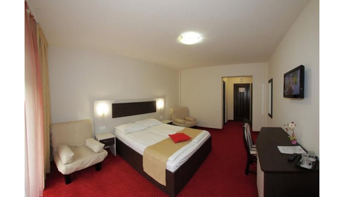 Hotel Pension Carpathia poza 9