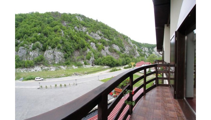Hotel Pension Carpathia poza 10