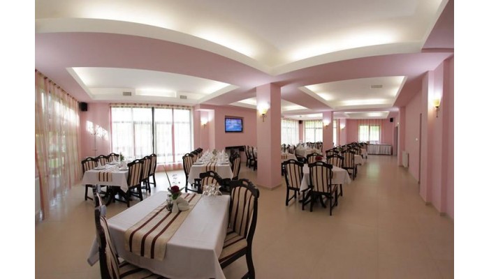 Hotel Pension Carpathia poza 8