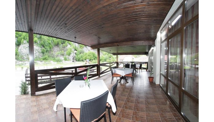 Hotel Pension Carpathia poza 7