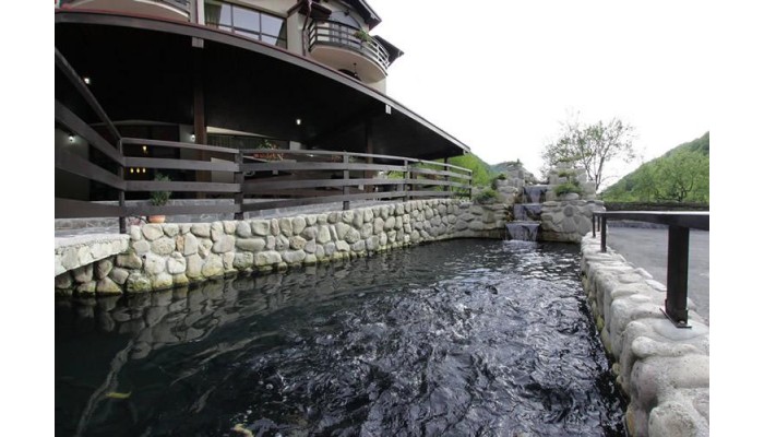 Hotel Pension Carpathia poza 5
