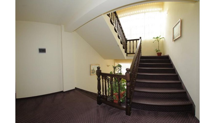 Hotel Pension Carpathia poza 4