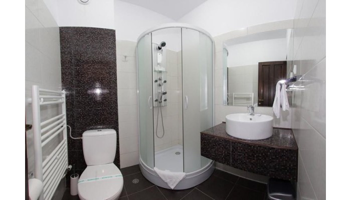 Hotel Pension Carpathia poza 11