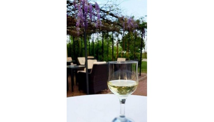 Iris Hotel poza 2