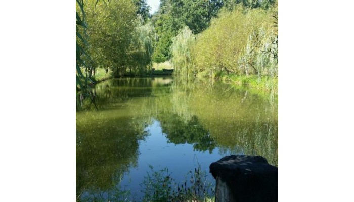 Vila Gest poza 5