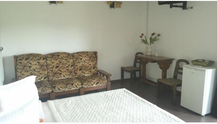 Vila Gest poza 12