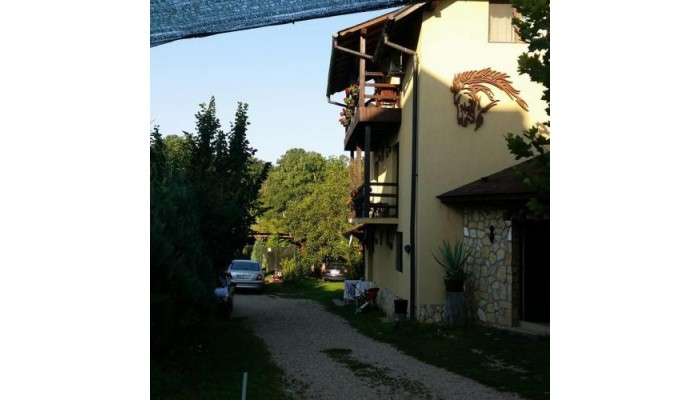 Vila Gest poza 1