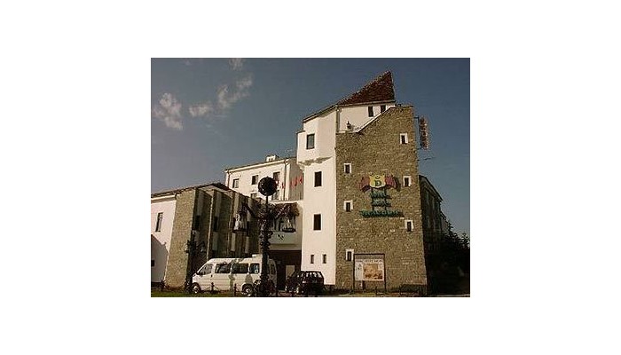Hotel Castel Dracula poza 0