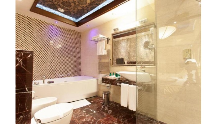 Metropolis Hotel poza 2