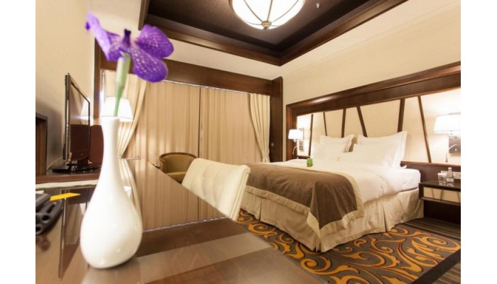 Metropolis Hotel poza 1