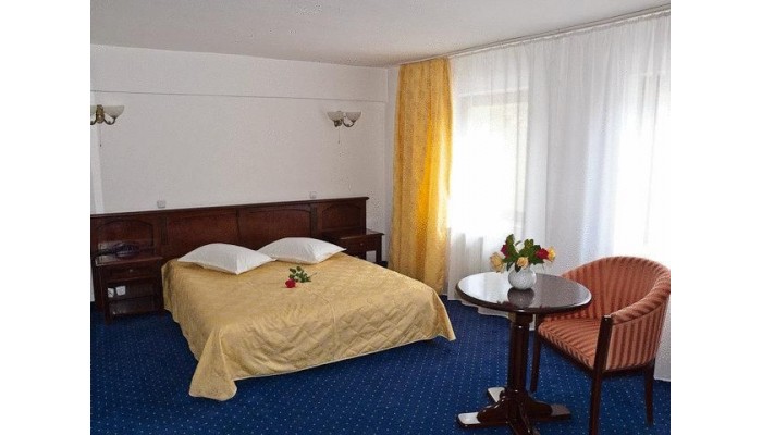 Hotel Codrisor poza 0