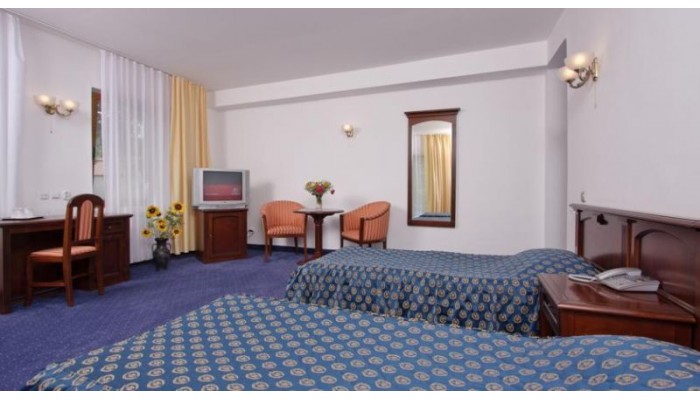 Hotel Codrisor poza 3