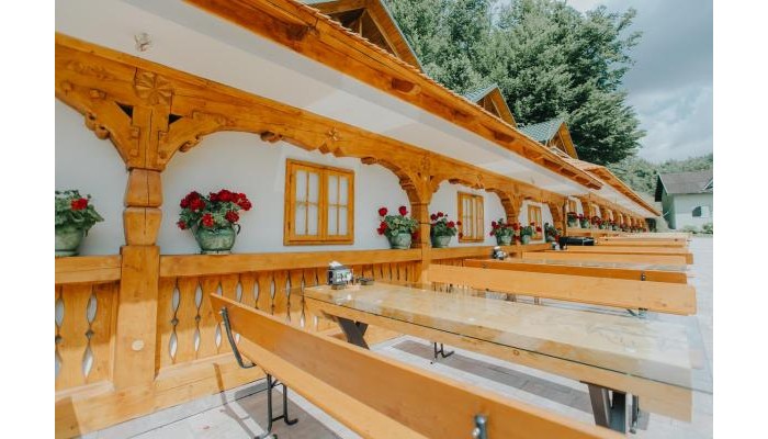 Poza pentru Complex Lostrita 1048-1604913492 Complex Lostrita poza 2