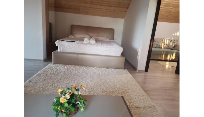 Poza pentru Hotel Alpina Deluxe 5587-1601642532 Hotel Alpina Deluxe poza 6