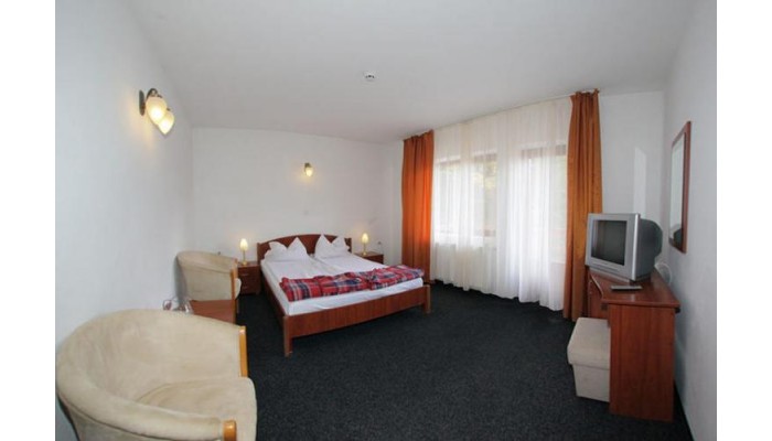 Poza pentru Hotel Paltinis 238-1537969454 Hotel Paltinis poza 2