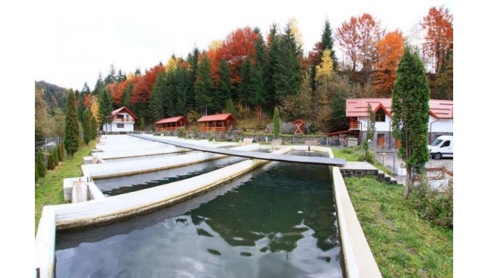 Poza pentru Hotel Paltinis 820-1537969454 Hotel Paltinis poza 6