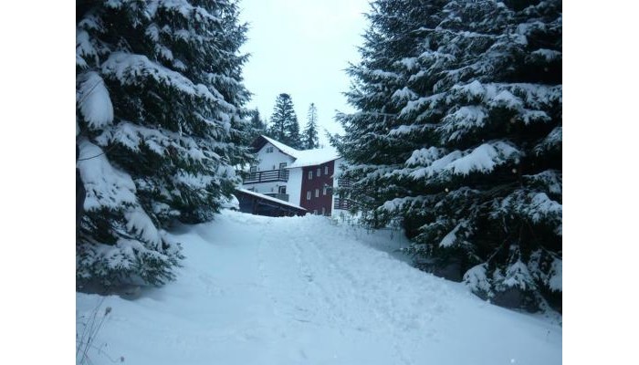 Pensiunea Silvania poza 0