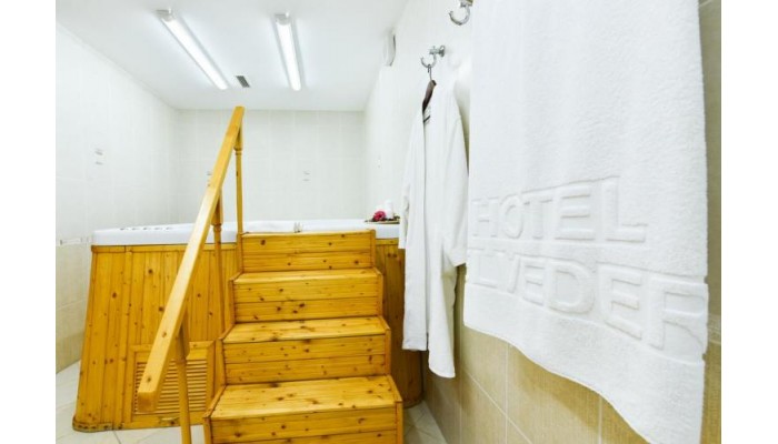 Hotel Belvedere poza 6