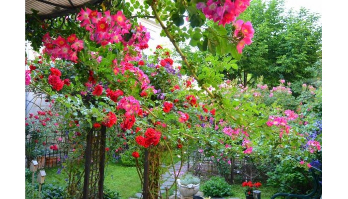 Hotel Residenza Dutzu Boutique poza 2