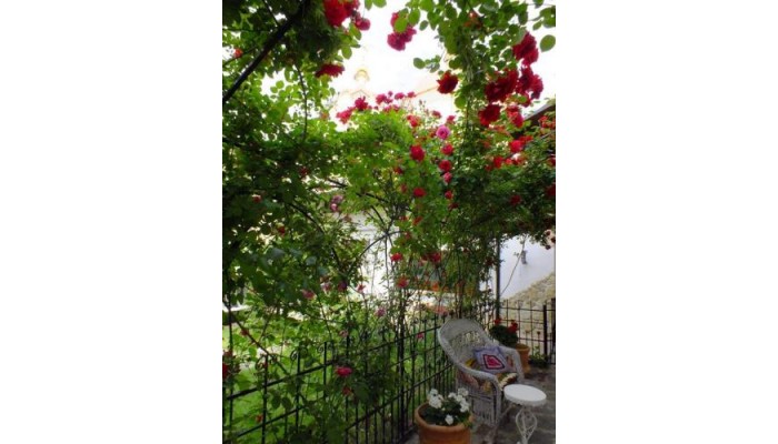 Hotel Residenza Dutzu Boutique poza 4