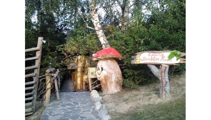 Poza pentru Club Vila Bran 5683-1565715548 Club Vila Bran poza 8