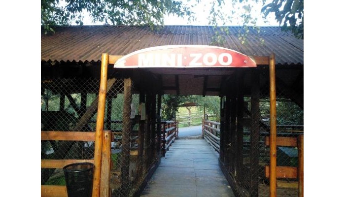 Poza pentru Club Vila Bran 8107-1565715547 Club Vila Bran poza 6
