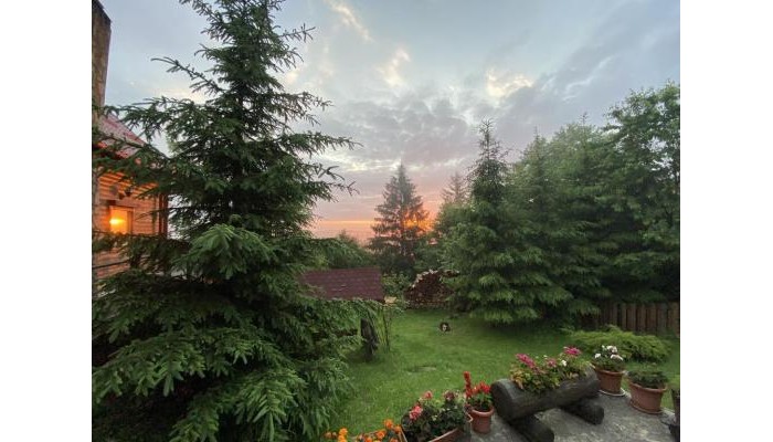 Hotel Carpathian Log Home poza 8