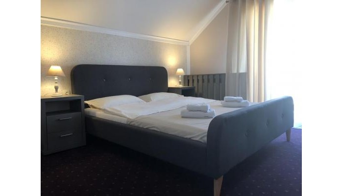 Hotel Casa Codrin poza 2