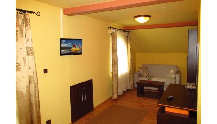 Hotel Casa Enescu poza 4