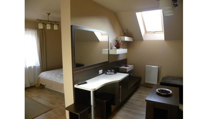 Hotel Casa Enescu poza 5