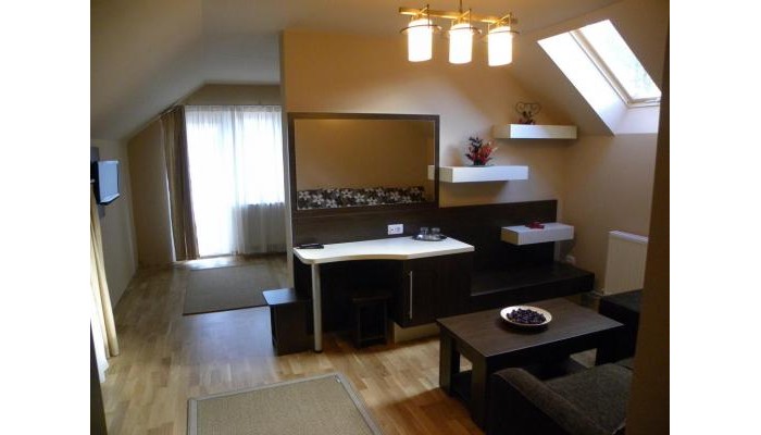 Hotel Casa Enescu poza 7