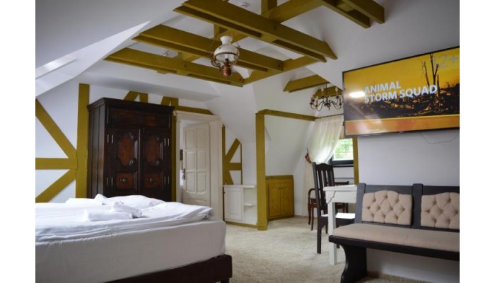 Hotel Conacul Bratescu poza 13