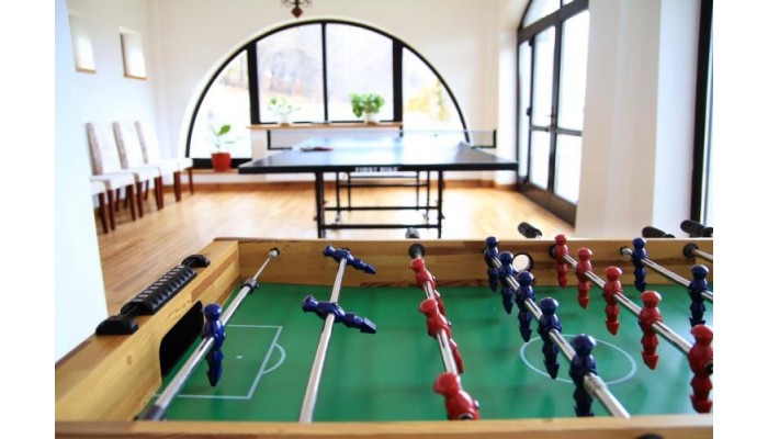 Hotel Conacul Bratescu poza 7