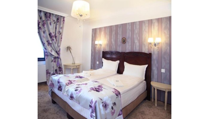 Hotel Conacul Bratescu poza 6