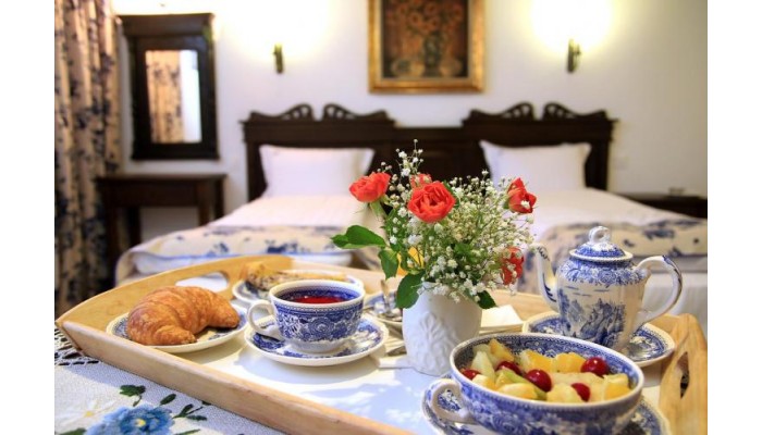 Hotel Conacul Bratescu poza 3