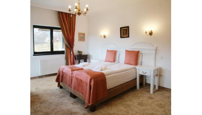 Hotel Conacul Bratescu poza 12