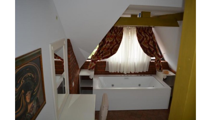 Hotel Conacul Bratescu poza 14