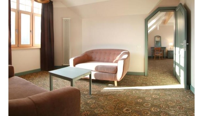 Hotel Conacul Torzburg poza 9