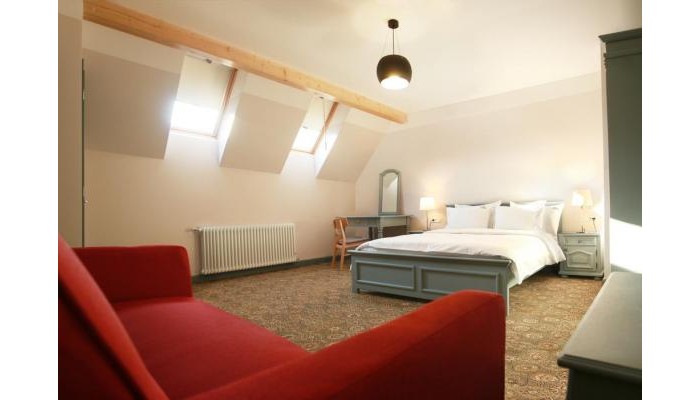 Hotel Conacul Torzburg poza 10