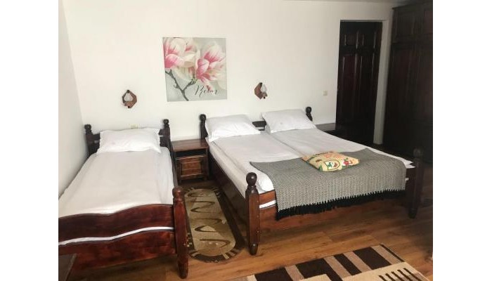 Pensiunea Cerbul Carpatin poza 1