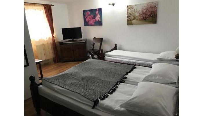 Pensiunea Cerbul Carpatin poza 8