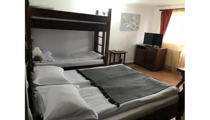 Pensiunea Cerbul Carpatin poza 10