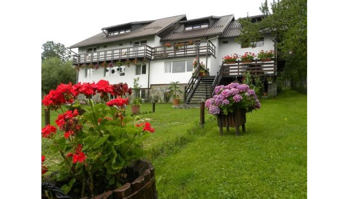 Pensiunea Cerbul Carpatin poza 0