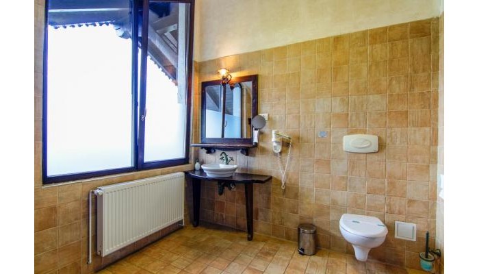 Pensiunea Gentiana poza 16