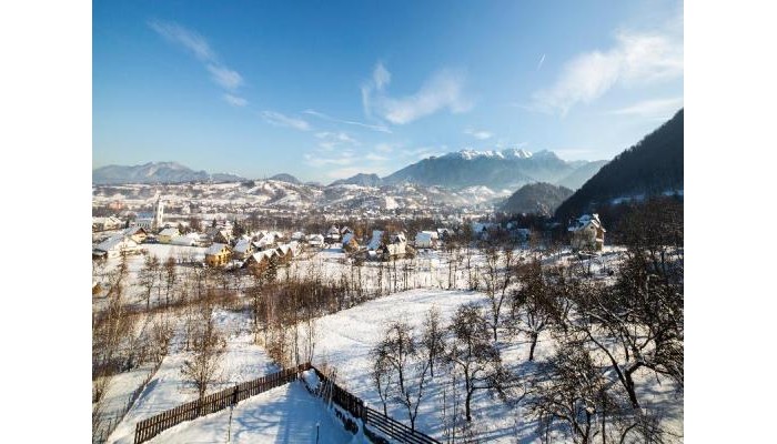 Vila Transylvanian poza 7