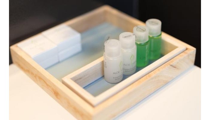 Antler Boutique Hotel poza 2